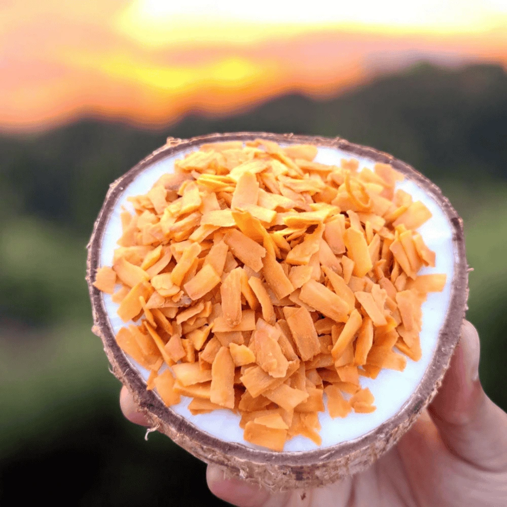 ডায়েট লাল নারিকেল চিঁড়া নারিকেলের খোলে - Ranga Ghor BD প্রাকৃতিক খাদ্যপণ্য