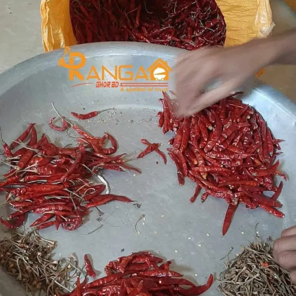 শুকনো ঝাল মরিচ হাতে বাছাই করা হচ্ছে rangaghorbd